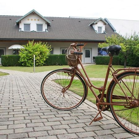 Gaestehaus Finklacke Apetlon Ngoại thất bức ảnh